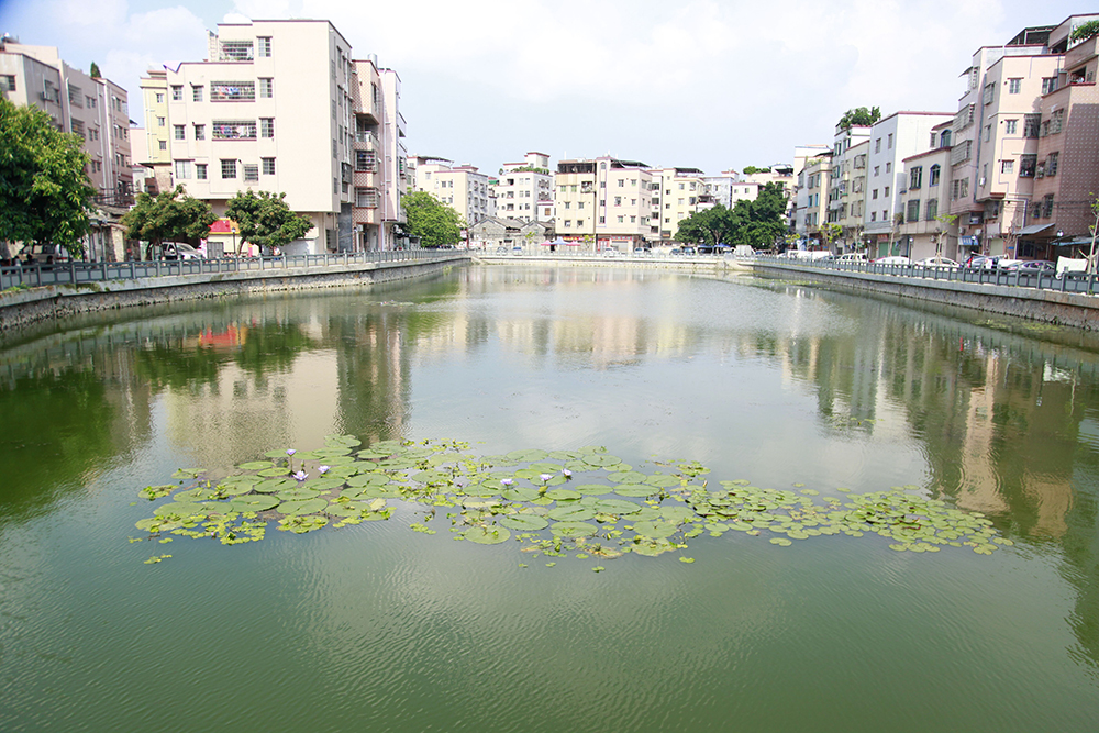 廣州147條水體消除黑臭，將再建六座污水處理廠實現全覆蓋
